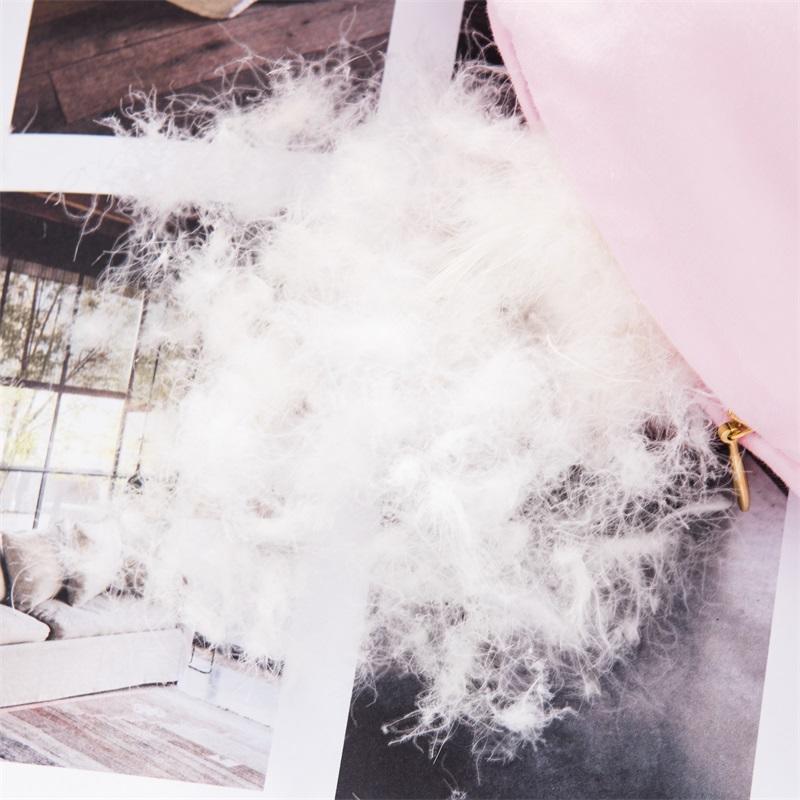 Pure White Brown Pink100% Goose Down Comforter Warm
