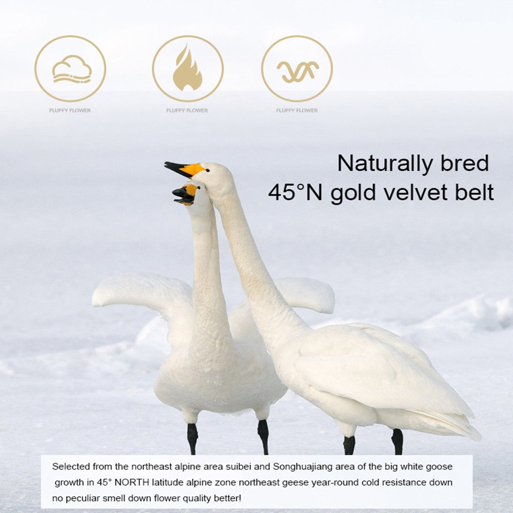 Premium White Grey Goose Down Pillows
