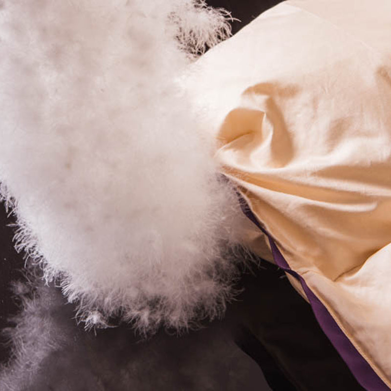 Luxury Rim Purple Filling Goose Down Comforter Handwork, W1512 Cotton 100%, Twin/Full/Queen/King