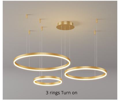 Modern Lighting 2 to 5 LED Circle Rings Ceiling Chandelier Living Room Home Decor