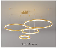 Thumbnail for Modern Lighting 2 to 5 LED Circle Rings Ceiling Chandelier Living Room Home Decor