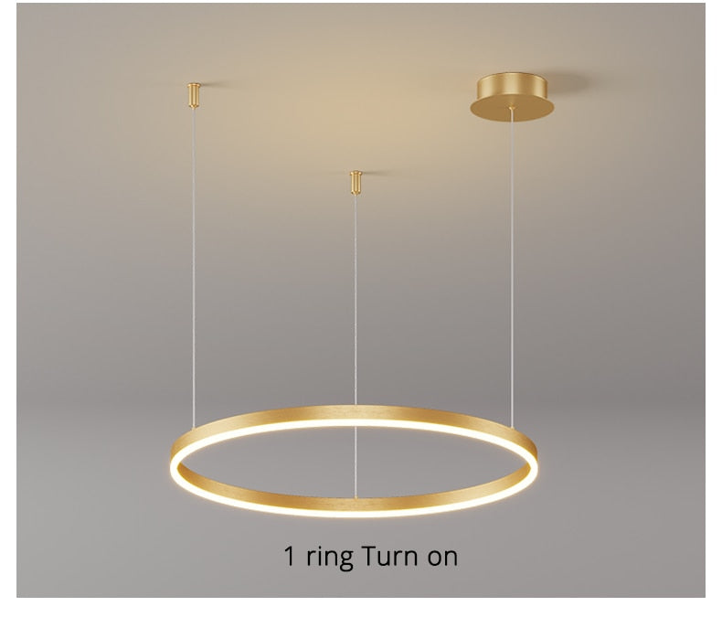 Modern Lighting 2 to 5 LED Circle Rings Ceiling Chandelier Living Room Home Decor