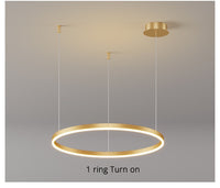 Thumbnail for Modern Lighting 2 to 5 LED Circle Rings Ceiling Chandelier Living Room Home Decor