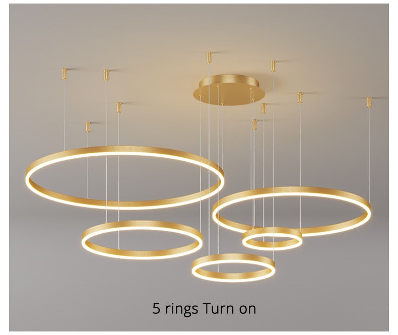 Modern Lighting 2 to 5 LED Circle Rings Ceiling Chandelier Living Room Home Decor