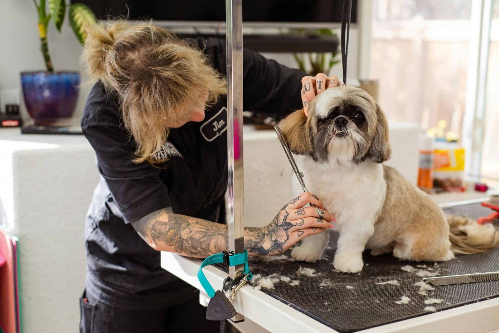 Visual representation of Pet groomers use case